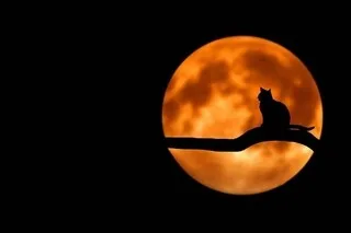 QUIZ. ÊTES-VOUS INCOLLABLE SUR LA LUNE ?