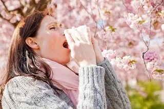 POURQUOI, LORS D’UN ÉTERNUEMENT, NE DIT-ON PAS « ATCHOUM » PARTOUT SUR LA PLANÈTE ?