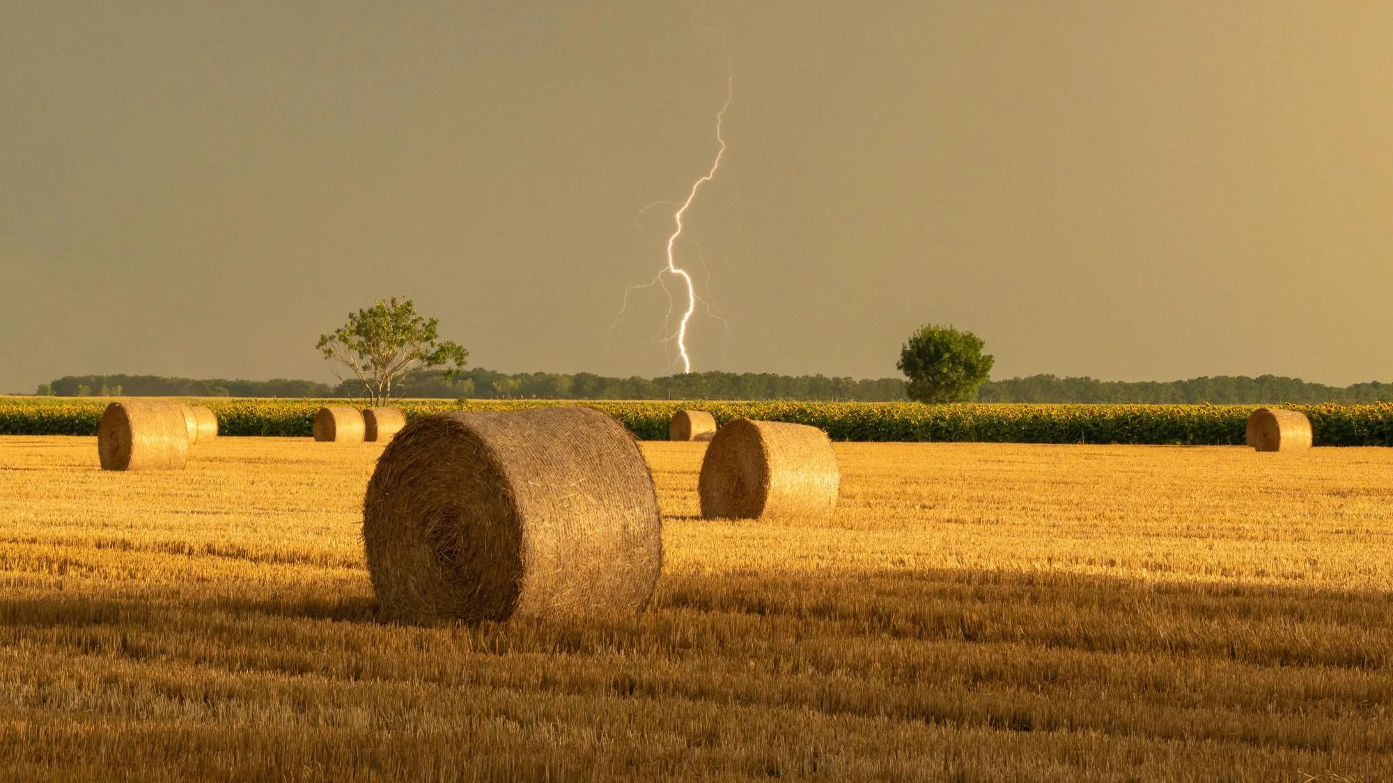 MÉTÉO : CE QU’IL FAUT ATTENDRE DES ORAGES À VENIR SUR CETTE FIN DE SEMAINE (TOUJOURS CANICULAIRE)