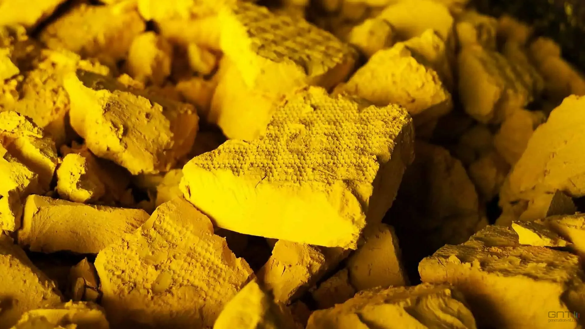 DES BACTÉRIES NETTOIENT 96% DE L’URANIUM D’UNE MINE INONDÉE