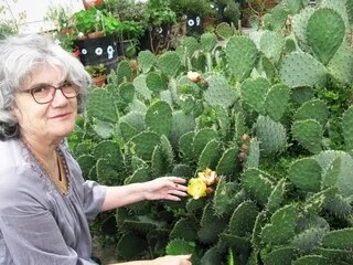 « JE LEUR METS DE LA MUSIQUE » : ENTRE JACQUELINE ET LES PLANTES DE SON JARDIN, C’EST « UNE RELATION D’AMOUR »
