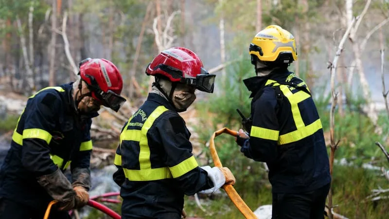 INCENDIE DE FONTAINEBLEAU: TROIS REPRISES « MODÉRÉES » DE FEU, LES POMPIERS TOUJOURS À PIED D’ŒUVRE
