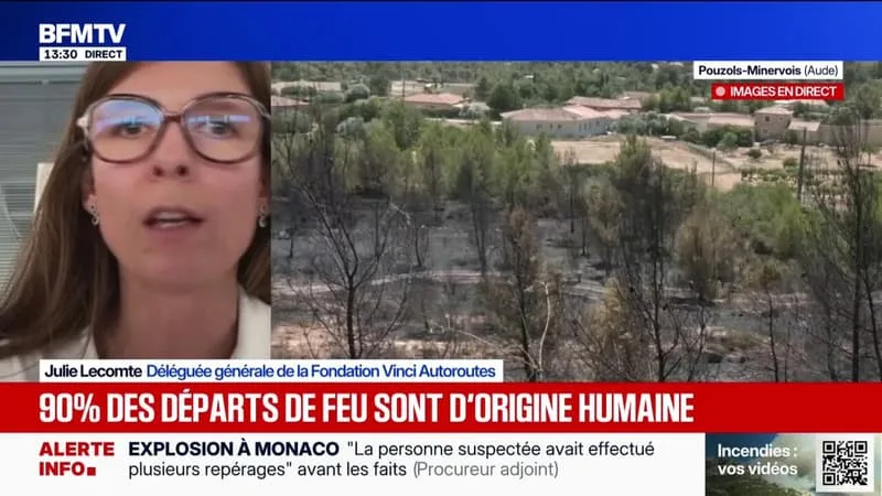 FEUX DE FORÊT: « 100 MÉGOTS SONT JETÉS PAR KILOMÈTRE », AFFIRME LA DÉLÉGUÉE GÉNÉRALE DE LA FONDATION VINCI AUTOROUTES