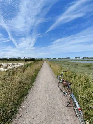 REPORTAGE. PLAGES, MARAIS, VERGERS… DE LA VILLE À LA MER, ON A ROULÉ TROIS JOURS À VÉLO À TRAVERS LA CAMPAGNE NORMANDE
