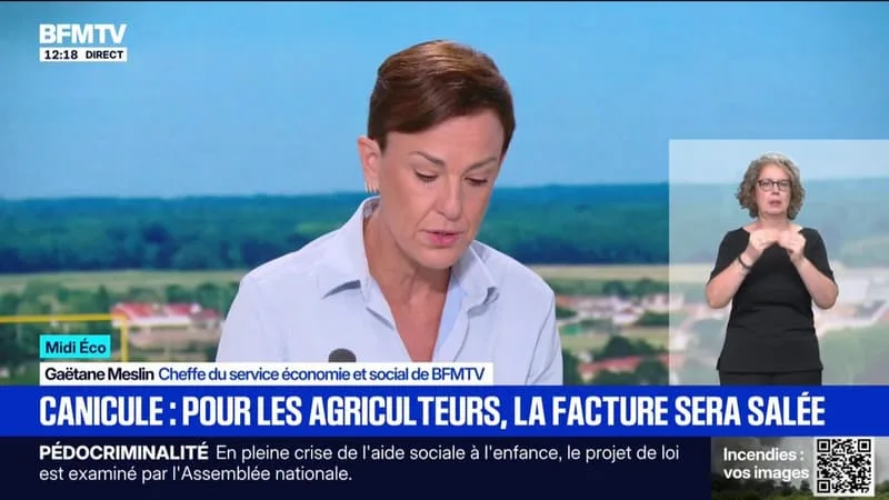 CANICULE: UNE FACTURE SALÉE POUR LES AGRICULTEURS