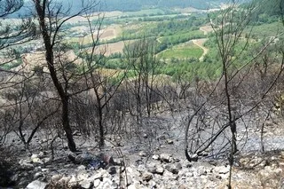 REPORTAGE. « LES POMPIERS ONT SAUVÉ NOTRE MAISON ! » APRÈS L’INCENDIE, SPECTACLE DE DÉSOLATION DANS LA DRÔME