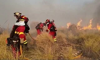 ESPAGNE. AU MOINS 12 MORTS ET 23 DISPARUS DANS LE FEU DE FORÊT LE PLUS TRAGIQUE JAMAIS ENREGISTRÉ EN ANDALOUSIE