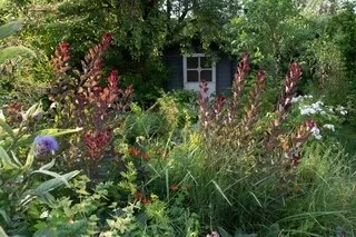 MON JARDIN, LES CORVÉES EN MOINS