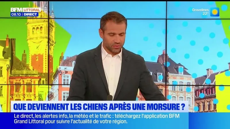 LE JOURNAL DE 8H DU VENDREDI 24 JUILLET 2026